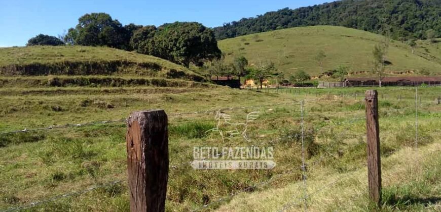 Excelente Fazenda 84 alqueires para Pecuária à Venda | Silva Jardim/ RJ