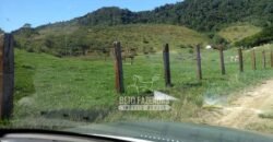 Excelente Fazenda 84 alqueires para Pecuária à Venda | Silva Jardim/ RJ