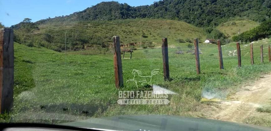 Excelente Fazenda 84 alqueires para Pecuária à Venda | Silva Jardim/ RJ