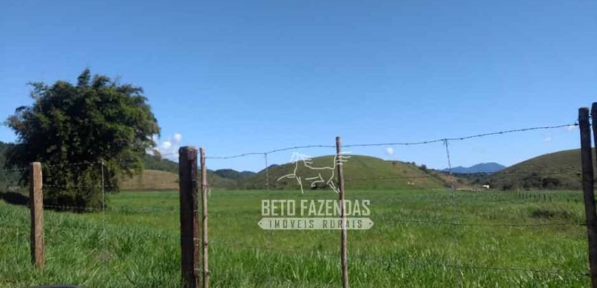 Excelente Fazenda 84 alqueires para Pecuária à Venda | Silva Jardim/ RJ