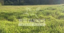 Excelente Fazenda 84 alqueires para Pecuária à Venda | Silva Jardim/ RJ