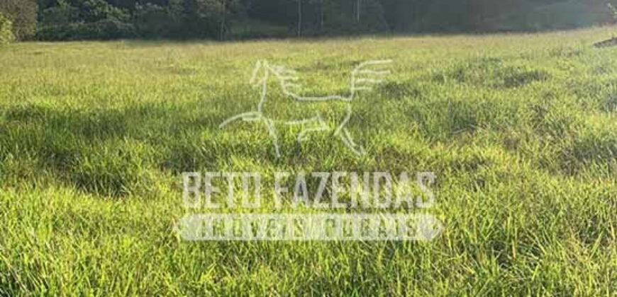 Excelente Fazenda 84 alqueires para Pecuária à Venda | Silva Jardim/ RJ