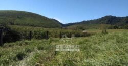 Excelente Fazenda 84 alqueires para Pecuária à Venda | Silva Jardim/ RJ