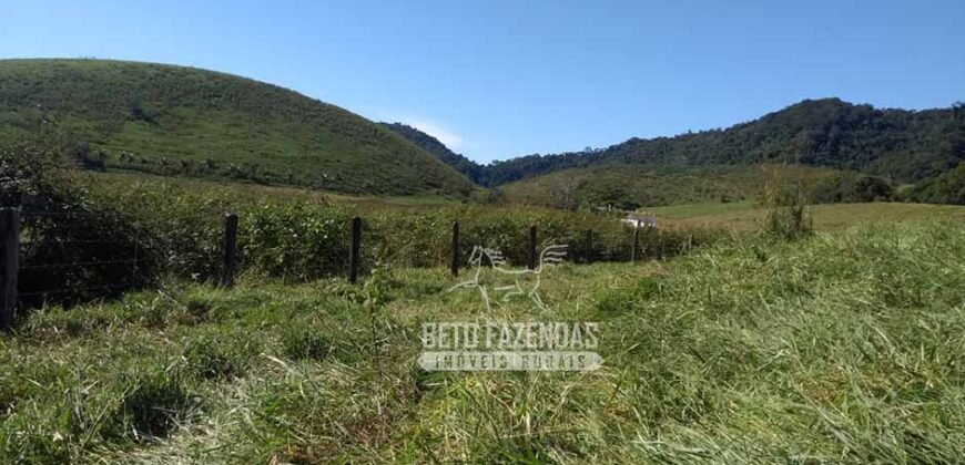 Excelente Fazenda 84 alqueires para Pecuária à Venda | Silva Jardim/ RJ