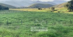 Excelente Fazenda 84 alqueires para Pecuária à Venda | Silva Jardim/ RJ