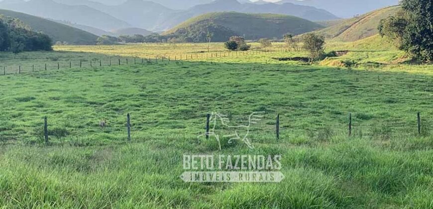 Excelente Fazenda 84 alqueires para Pecuária à Venda | Silva Jardim/ RJ