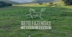 Excelente Fazenda 84 alqueires para Pecuária à Venda | Silva Jardim/ RJ