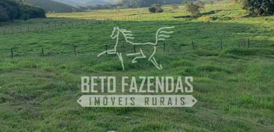 Excelente Fazenda 84 alqueires para Pecuária à Venda | Silva Jardim/ RJ