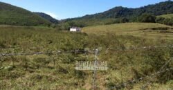 Excelente Fazenda 84 alqueires para Pecuária à Venda | Silva Jardim/ RJ