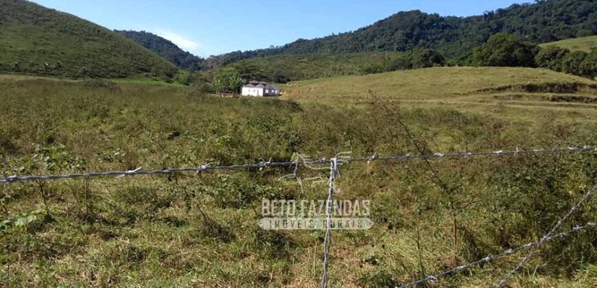 Excelente Fazenda 84 alqueires para Pecuária à Venda | Silva Jardim/ RJ