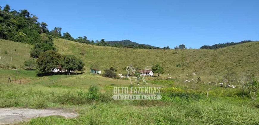 Excelente Fazenda 84 alqueires para Pecuária à Venda | Silva Jardim/ RJ
