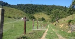 Excelente Fazenda 84 alqueires para Pecuária à Venda | Silva Jardim/ RJ