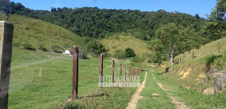 Excelente Fazenda 84 alqueires para Pecuária à Venda | Silva Jardim/ RJ