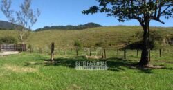 Excelente Fazenda 84 alqueires para Pecuária à Venda | Silva Jardim/ RJ