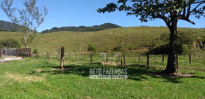 Excelente Fazenda 84 alqueires para Pecuária à Venda | Silva Jardim/ RJ