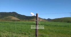 Excelente Fazenda 84 alqueires para Pecuária à Venda | Silva Jardim/ RJ