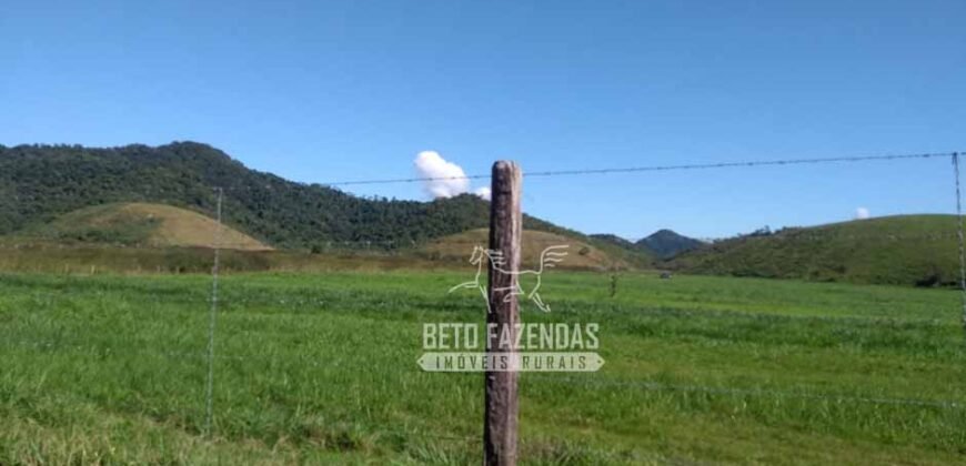 Excelente Fazenda 84 alqueires para Pecuária à Venda | Silva Jardim/ RJ