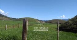 Excelente Fazenda 84 alqueires para Pecuária à Venda | Silva Jardim/ RJ
