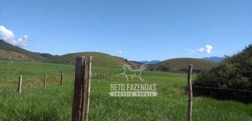 Excelente Fazenda 84 alqueires para Pecuária à Venda | Silva Jardim/ RJ