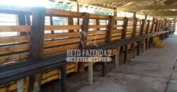 Excelente Fazenda 84 alqueires para Pecuária à Venda | Silva Jardim/ RJ