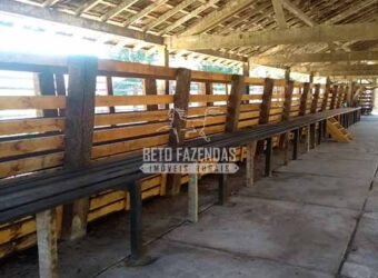 Excelente Fazenda 84 alqueires para Pecuária à Venda | Silva Jardim/ RJ