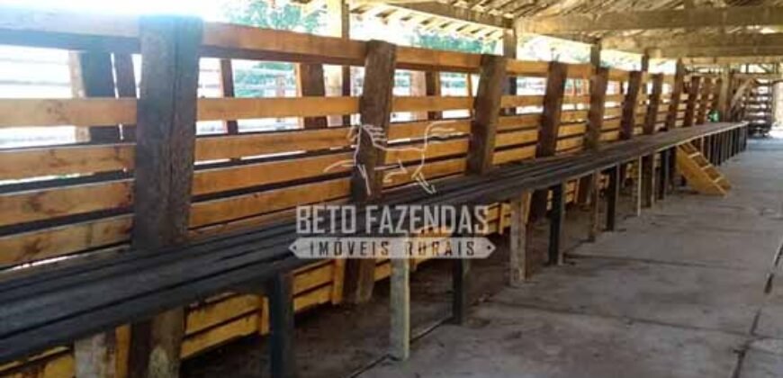 Excelente Fazenda 84 alqueires para Pecuária à Venda | Silva Jardim/ RJ