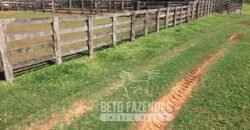 Venda de Fazenda 1.602 Hectares Dupla Aptidão Montada na Pecuária na Região de Marília/ SP