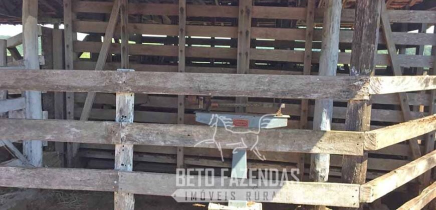 Venda de Fazenda 1.602 Hectares Dupla Aptidão Montada na Pecuária na Região de Marília/ SP