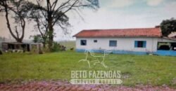 Venda de Fazenda 1.602 Hectares Dupla Aptidão Montada na Pecuária na Região de Marília/ SP