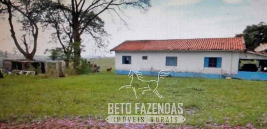 Venda de Fazenda 1.602 Hectares Dupla Aptidão Montada na Pecuária na Região de Marília/ SP