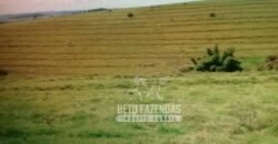 Venda de Fazenda 1.602 Hectares Dupla Aptidão Montada na Pecuária na Região de Marília/ SP