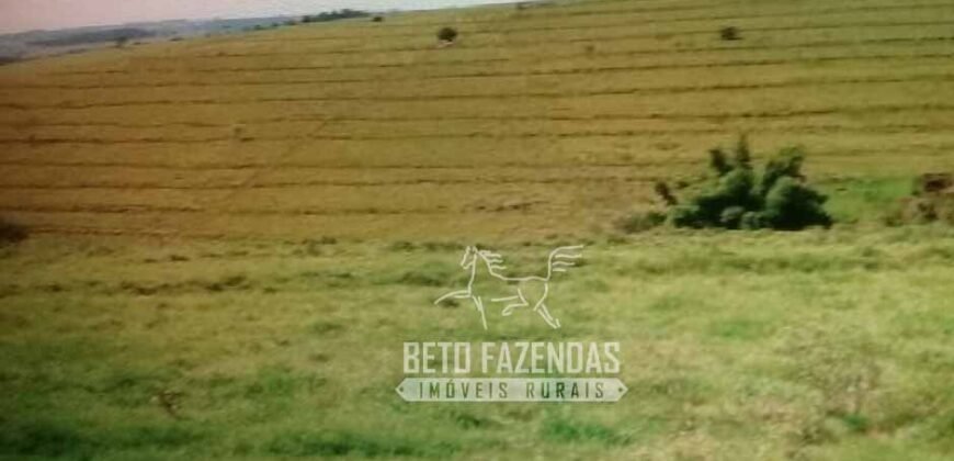 Venda de Fazenda 1.602 Hectares Dupla Aptidão Montada na Pecuária na Região de Marília/ SP