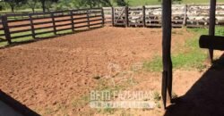 Venda de Fazenda 1.602 Hectares Dupla Aptidão Montada na Pecuária na Região de Marília/ SP