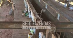 Venda de Fazenda 1.602 Hectares Dupla Aptidão Montada na Pecuária na Região de Marília/ SP