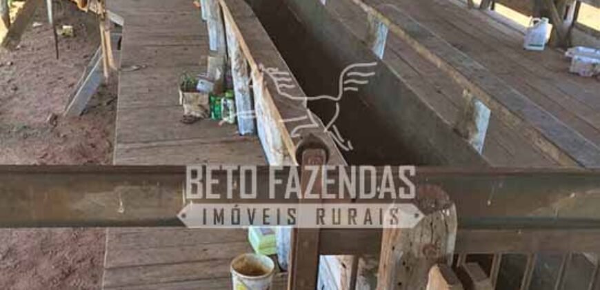 Venda de Fazenda 1.602 Hectares Dupla Aptidão Montada na Pecuária na Região de Marília/ SP