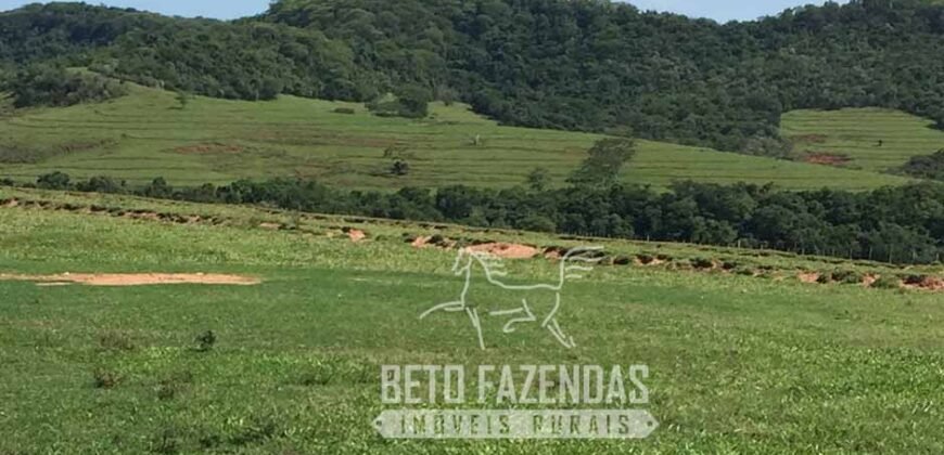 Venda de Fazenda 1.602 Hectares Dupla Aptidão Montada na Pecuária na Região de Marília/ SP