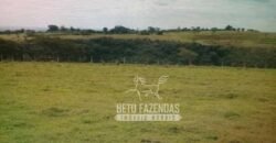 Venda de Fazenda 1.602 Hectares Dupla Aptidão Montada na Pecuária na Região de Marília/ SP