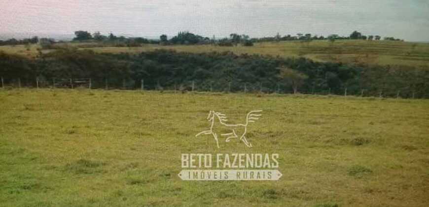Venda de Fazenda 1.602 Hectares Dupla Aptidão Montada na Pecuária na Região de Marília/ SP