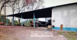 Venda de Fazenda 1.602 Hectares Dupla Aptidão Montada na Pecuária na Região de Marília/ SP