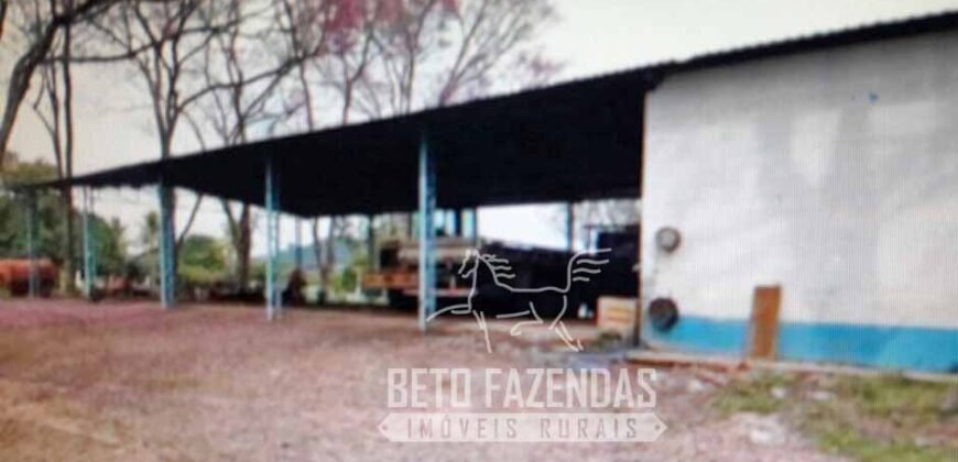 Venda de Fazenda 1.602 Hectares Dupla Aptidão Montada na Pecuária na Região de Marília/ SP