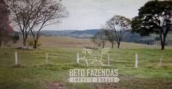 Venda de Fazenda 1.602 Hectares Dupla Aptidão Montada na Pecuária na Região de Marília/ SP