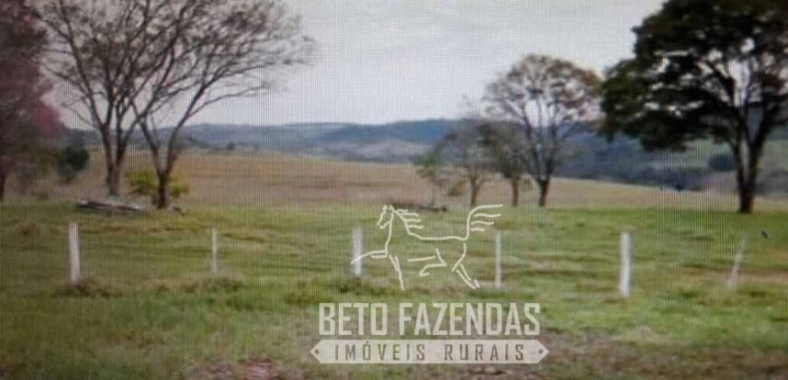 Venda de Fazenda 1.602 Hectares Dupla Aptidão Montada na Pecuária na Região de Marília/ SP