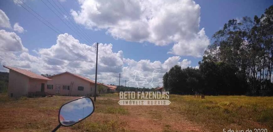 Fazenda de Alta Produtividade 11.600 hectares Infraestrutura Completa | Peixoto/ MT Fazenda de Alta Produtividade 11.600 hectares Infraestrutura Completa | Peixoto/ MT