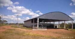 Fazenda de Alta Produtividade 11.600 hectares Infraestrutura Completa | Peixoto/ MT Fazenda de Alta Produtividade 11.600 hectares Infraestrutura Completa | Peixoto/ MT