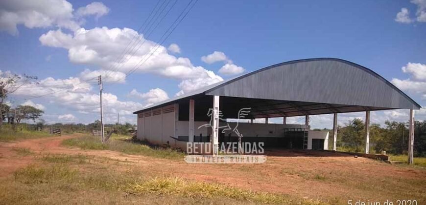 Fazenda de Alta Produtividade 11.600 hectares Infraestrutura Completa | Peixoto/ MT Fazenda de Alta Produtividade 11.600 hectares Infraestrutura Completa | Peixoto/ MT