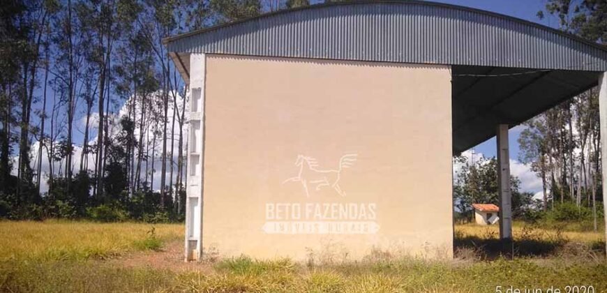 Fazenda de Alta Produtividade 11.600 hectares Infraestrutura Completa | Peixoto/ MT Fazenda de Alta Produtividade 11.600 hectares Infraestrutura Completa | Peixoto/ MT