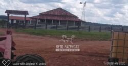 Fazenda de Alta Produtividade 11.600 hectares Infraestrutura Completa | Peixoto/ MT Fazenda de Alta Produtividade 11.600 hectares Infraestrutura Completa | Peixoto/ MT