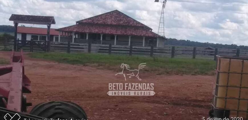 Fazenda de Alta Produtividade 11.600 hectares Infraestrutura Completa | Peixoto/ MT Fazenda de Alta Produtividade 11.600 hectares Infraestrutura Completa | Peixoto/ MT