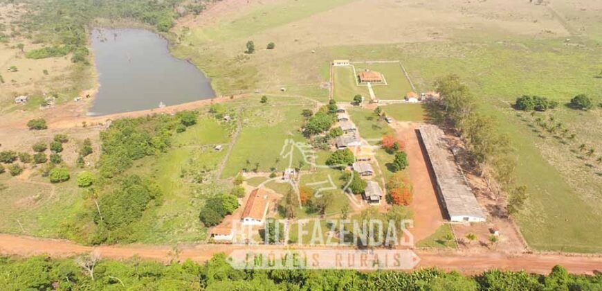 Fazenda de Alta Produtividade 11.600 hectares Infraestrutura Completa | Peixoto/ MT Fazenda de Alta Produtividade 11.600 hectares Infraestrutura Completa | Peixoto/ MT