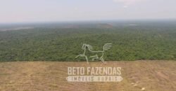 Fazenda de Alta Produtividade 11.600 hectares Infraestrutura Completa | Peixoto/ MT Fazenda de Alta Produtividade 11.600 hectares Infraestrutura Completa | Peixoto/ MT